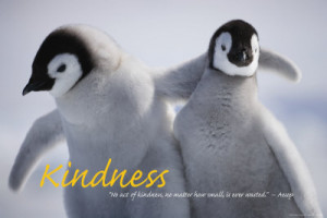 Kindness Quotes and Kind Quotes