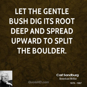 Let the gentle bush dig its root deep and spread upward to split the ...