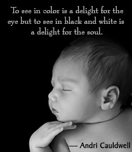 34 Famous Black and White Quotes and Sayings