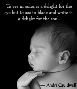 34 Famous Black and White Quotes and Sayings