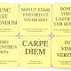 Latin Quotes About Life And Death: The Latin Club Sayings About Carpe ...