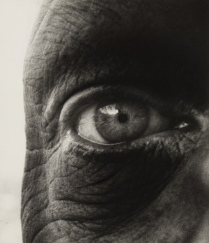 BILL BRANDT: SHADOW AND LIGHT AT MOMA PRESENTS A MAJOR REEVALUATION OF ...