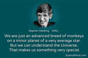 Stephen Hawking We Are Advanced Breed of Monkey