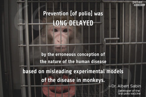 Experts Explain Why Animal Testing Is Junk Science