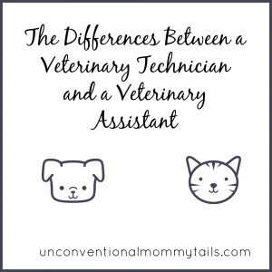 The Differences Between a Veterinary Technician and a Veterinary ...