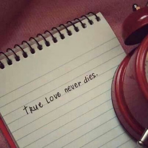 Pinned by Carol Slater