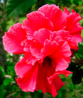 All pictures taken at the Sol y Agua Resort in Yunguilla Ecuador