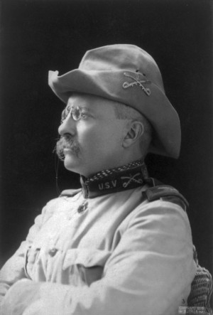 Theodore Roosevelt: A Biography - Winner, Biography, 1932