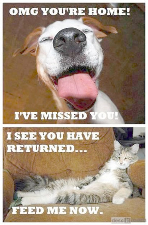 Pet Quotes Back to Pets / Back Home