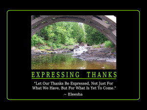 Let Our Thanks Be Expressed, Not Just For What We Have, But For What ...