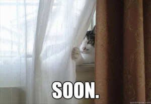 Funny “Soon” Meme – 38 Pics