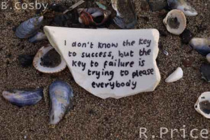 ... To Success, But The Key To Failure Is Trying To Please Everybody