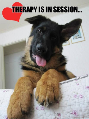 German Shepherd Dogs