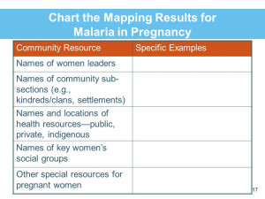 Chart the Mapping Results for Malaria in Pregnancy Community ...