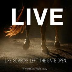 ... quotes life country girls equine inspiration gates open horses quotes