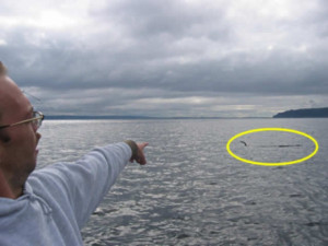 Point No Point Sea Serpent