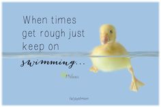 When times are rough, just keep on swimming. ♥ So much more ...