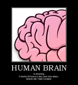 Human Brain Is Amazing It Works 24 Hours A Day And Only Stops