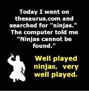 Funny Ninja Quotes And Sayings