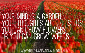 Your Mind Is A Garden Your Thoughts Are The Seeds - Inspirational ...