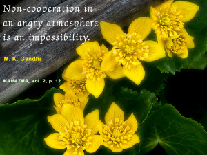 Mahatma Gandhi Quotes on Non-cooperation