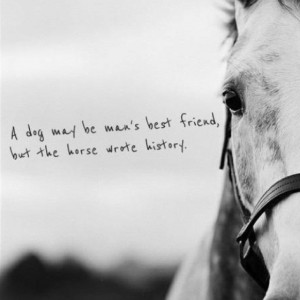 flicka favorite quote ever amazing horses heavens hors hors quotes ...