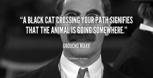 black cat crossing your path signifies that the animal is going ...