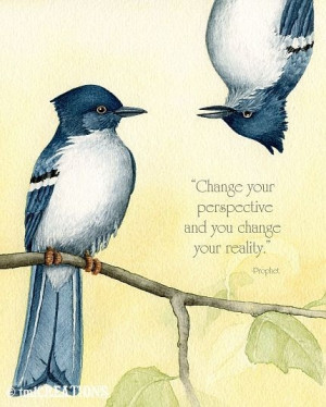 Chage your perspective and you change your reality. (Prophet)