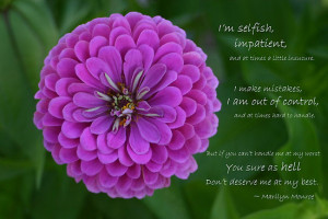 ... › Portfolio › Purple Zinnia Flower with Marilyn Monroe quote