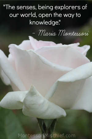 Maria Montessori Quotes Sensorial