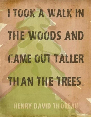 ... the woods and came out taller than the trees.