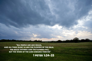 Peter 1.24 25 Bible Verse