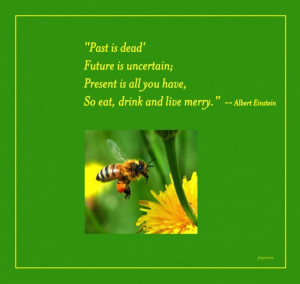 Famous Quotes Honey Bee