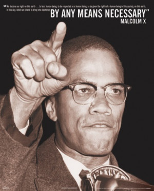 Malcolm X - By Any Means Mini Poster