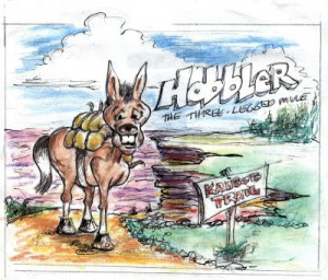 lenox projects 3-ball richardson boston