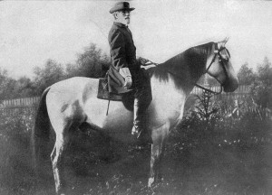 General_R._E._Lee_and_Traveler. A Georgian Grande horse