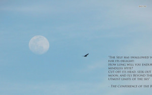 the Birds quote wallpaper 1280x800 The Conference of the Birds quote ...