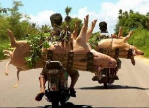 该词条缺少 基本信息栏 、 词条分类 ，补充相关内容 ...