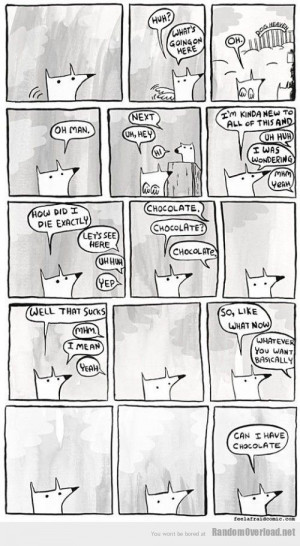 for free even in heaven sacrifice heaven effort meetville quotes