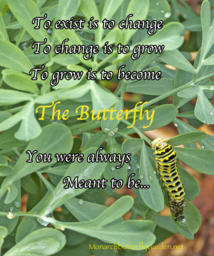 Find more caterpillar inspiration in your butterfly garden by planting ...