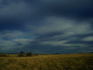 Finn Quotes, Famous Huckleberry Finn Quotes, Huckleberry Finn Sayings ...