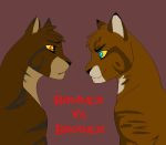 ... com brambleclaw vs hawkfrost mashup and tigerstar brambleclaw