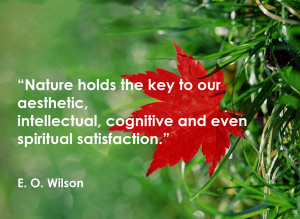 Nature holds the key to our aesthetic, intellectual, cognitive and ...