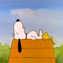 Snoopy Sleeping On Top Of His Dog House On Charlie Brown