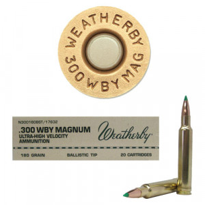300 Weatherby Magnum Ammo Ballistics