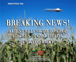 Aliens-Refuse-to-do-Crop-Circles