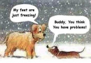 Dog Cartoon Picture - My feet are just freezing! Buddy, you think ...