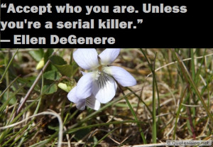 Accept who you are funny quote