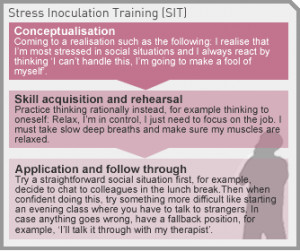 In the third stage ‘application and follow-through’ the individual ...