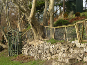 Funny Quotes Contact Dmca...